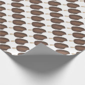 Chocolade ondergedompeld vanille ijs ijsijsjes rep cadeaupapier (Hoek)