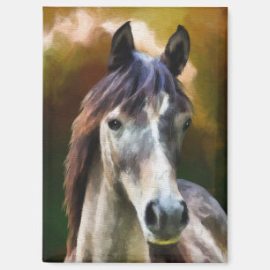 chocolade paard magneet