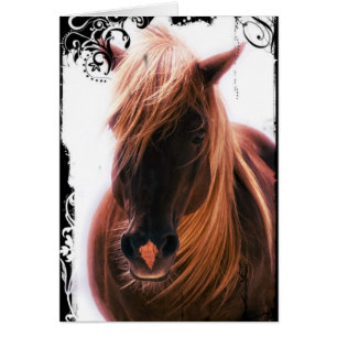 Chocolade Palomino Horse