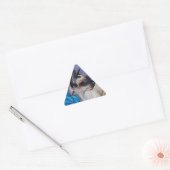 Chocolade Point Siamese Cat Driehoek Sticker (Envelop)