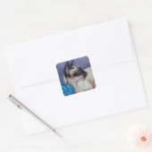Chocolade Point Siamese Cat Vierkante Sticker (Envelop)