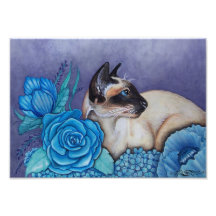 Chocolade Point Siamese