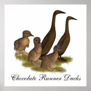 Chocolade Runner Duck Family Poster