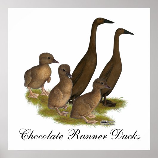 Chocolade Runner Duck Family Poster (Voorkant)