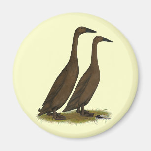 Chocolade Runner Ducks Magneet