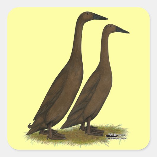 Chocolade Runner Ducks Vierkante Sticker (Voorkant)