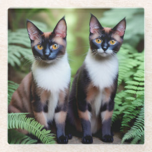 Chocolade Siamese Cat Twins, Onderzetter