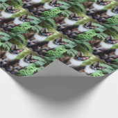 Chocolade Siamese kattweeling, omslagpapier Cadeaupapier (Hoek)