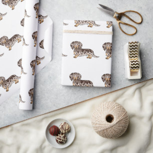 Chocolade & Tan Dapple Long Hair Dachshund Pattern Cadeaupapier