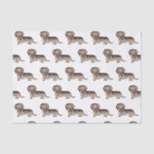 Chocolade & Tan Dapple Long Hair Dachshund Pattern Tissuepapier (Voorkant)