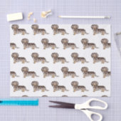 Chocolade & Tan Dapple Long Hair Dachshund Pattern Tissuepapier (Craft)