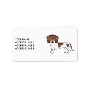 Chocolade & Tan Pied Korthaar Dachshond & Tekst Etiket