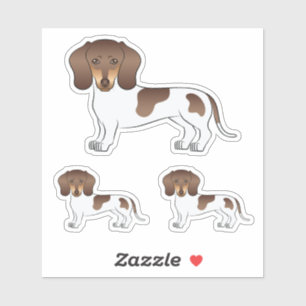 Chocolade & Tan Pied Kortharige Dachshund Mopshond Sticker