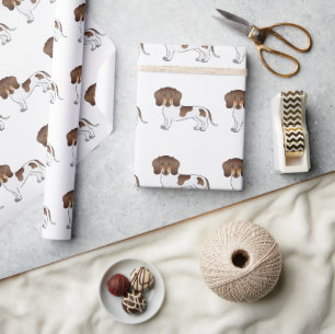 Chocolade & Tan Pied Kortharige Dachshund Patroon Cadeaupapier