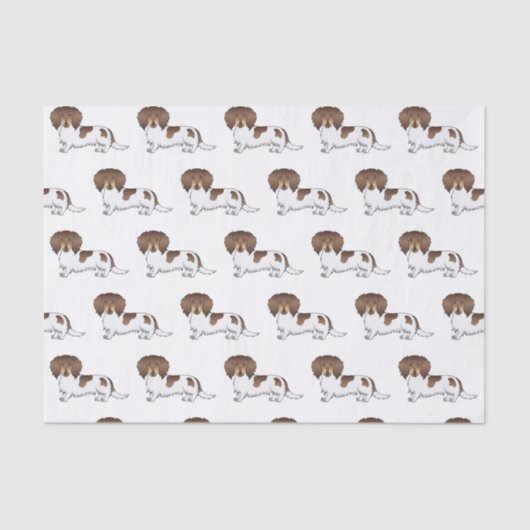 Chocolade & Tan Pied Long Hair Dachshund Pattern Tissuepapier (Voorkant)