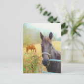 Chocoladebruin paard briefkaart (Staand voorkant)