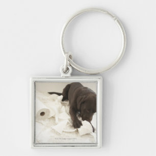 Chocoladebruine labrador. sleutelhanger