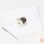 Chocoladebruine labrador. vierkante sticker (Envelop)