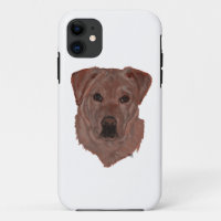 Chocoladebruine Labradors Retriever