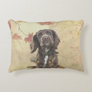 Chocoladecockerspanielpuppy Accent Kussen