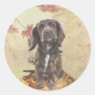 Chocoladecockerspanielpuppy Ronde Sticker