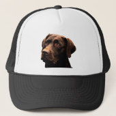 chocoladelab trucker pet (Voorkant)