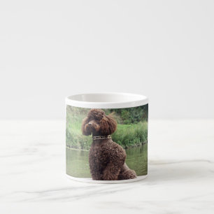 chocoladepoel , zittend .png espresso kop