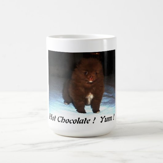 Chocoladepommerse puppy op mok (Center)