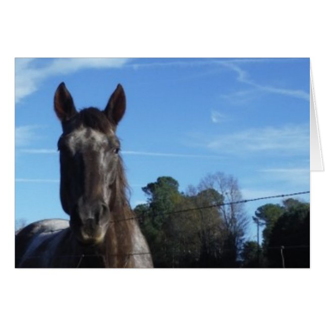 Chocolat au lait Cheval Brown en bleu (Devant horizontal)