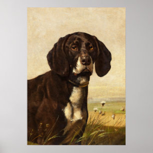 Chocolat Lab Chien, Poster vintage