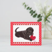 Chocolat Lab Puppy Carte Saint Valentin (Debout devant)