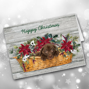 Chocolat Labrador Chiot en poche Carte de Noël