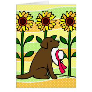Chocolat Labrador d'été avec des tournesols