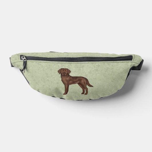 Chocolat Labrador Retriever Brown Lab Dog Green (Poser)