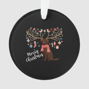 Chocolat Labrador Retriever Chien Noël