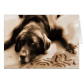 Chocolat Labrador Sepia Hues Blank (Devant Horizontal)