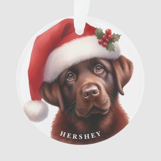 Chocolat mignon Labrador Retriever Chien Noël (devant)