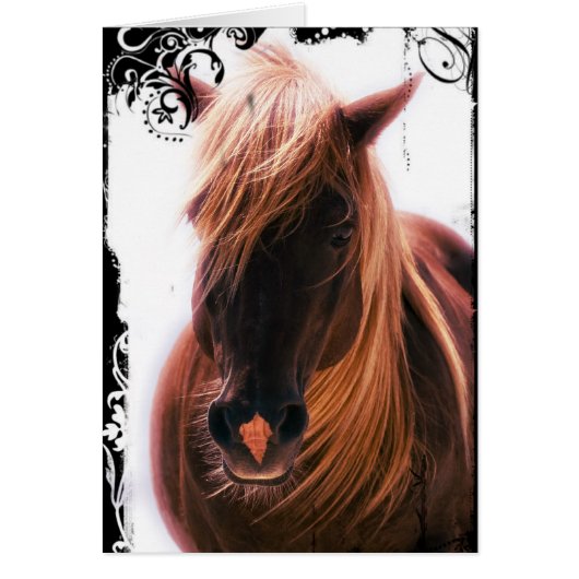 Chocolat Palomino Horse (Devant)