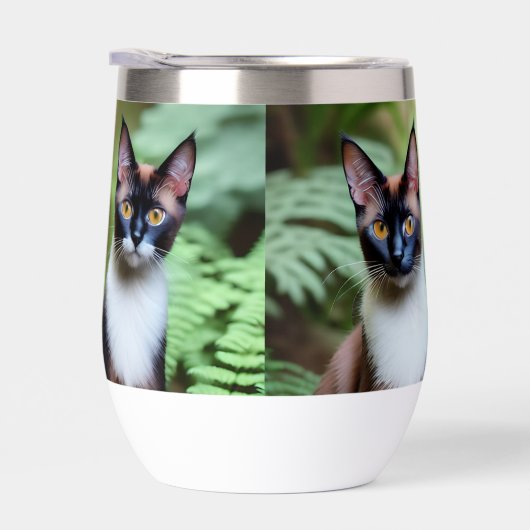 Chocolat Siamese jumeaux, (Droite)