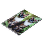 Chocolat Siamese jumeaux de chats, Carnet (Côté gauche)