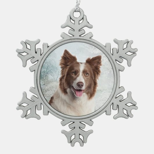 Chocolate Border Collie Ornament (Voorkant)