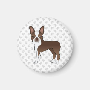 Chocolate Brown Boston Terrier Cartoon Dog & Paws Magneet