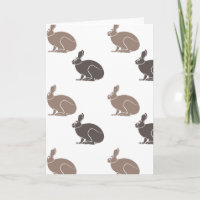 Chocolate Bunnies