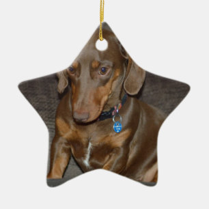 Chocolate Dachshund Keramisch Ornament