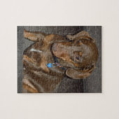 Chocolate Dachshund Legpuzzel (Horizontaal)