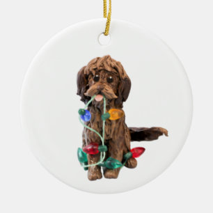 Chocolate Doodle Dog Ornament