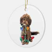 Chocolate Doodle Dog Ornament (Links)