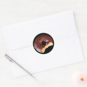 Chocolate Frosted Yellow Donut Foto Ronde Sticker (Envelop)