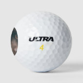 chocolate-lab-14 golfballen (Logo)