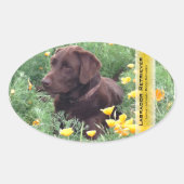 Chocolate Lab California Poppy Patch Persoonlijk Ovale Sticker (Voorkant)